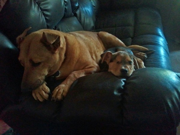 2012-07-06 15.16.46_edited-2