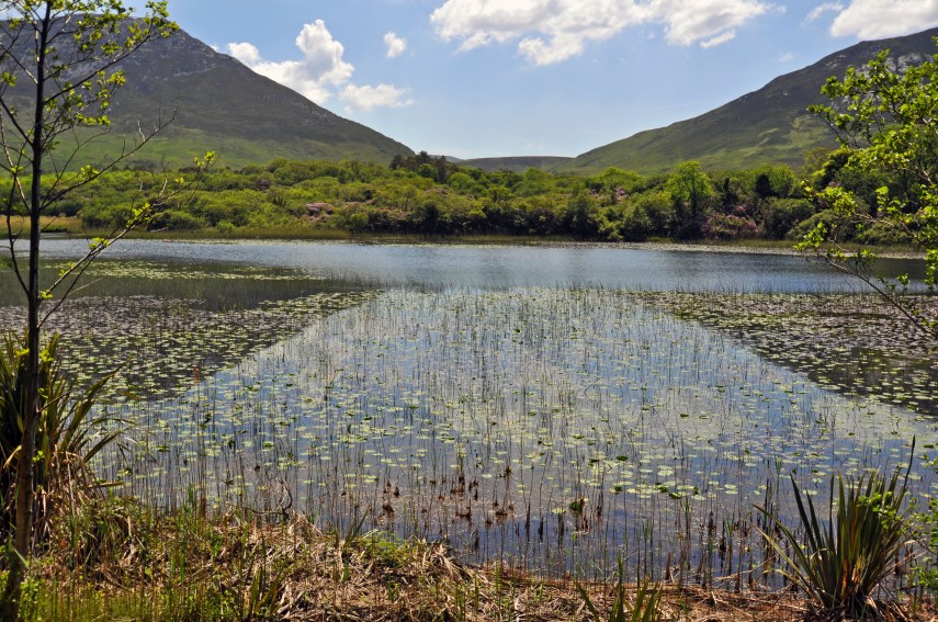 IRELAND DSC_1451_edited-1