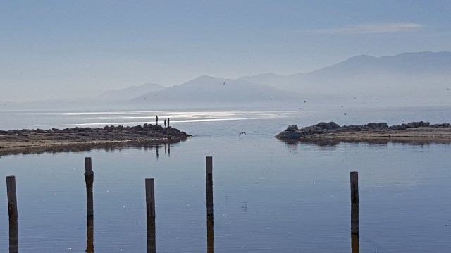 20160130_140910_edited-1